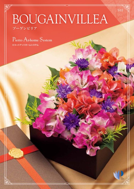 ブーゲンビリア